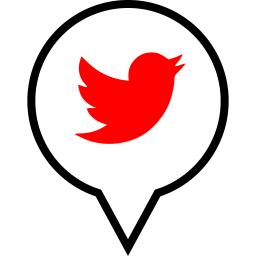Twitter Logo Icon