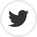 Twitter Media Social Icon
