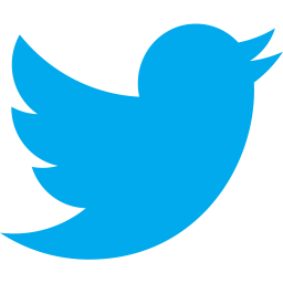 Twitter Logo Icon - Download in Flat Style