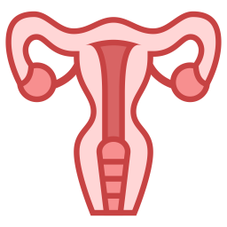 Uterus Icon of Colored Outline style - Available in SVG, PNG, EPS, AI ...