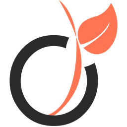 Viadeo Logo Icon