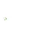 Windows Update Microsoft Icon