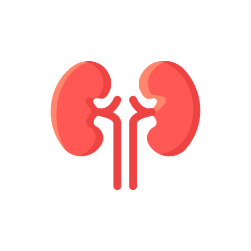 kidney icon of flat style available in svg png eps ai icon fonts available in svg png eps ai icon fonts