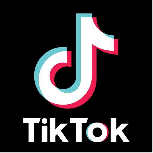 Tiktok Logo Icon - Download in Flat Style