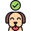Approved Dog