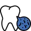 bacteria in teeth