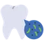 bacteria in teeth