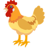 chicken icon png