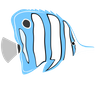 copperband marine butterfly fish icons free