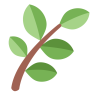 herb symbol