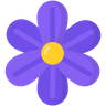 hyacinth icons