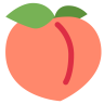 peach icon png