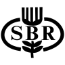 icons of sbr