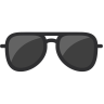 icons for sunglass
