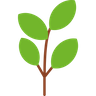 icons of vine tree