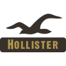 icons for hollister