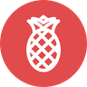 ananas icon png