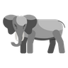 icon sumatra
