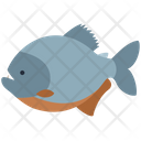 Piranha Fish Animal Icon