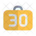 30kg baggage limit  Icon