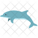 Dolphin Sea Animal Animal Icon