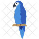 Macaw Parrot Bird Icon