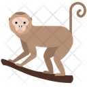 Monkey Animal Wildlife Icon