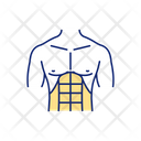 Abdominal Muscles Icon