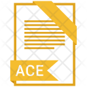 Ace Format Document Icon