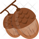 Acorn Oak Tree Icon