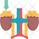 Adrenal  Icon