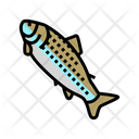 Adult Fish Icon