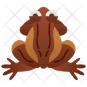African Frog Icon