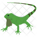 Agamidae Lizard Icon