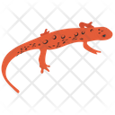 Lizard Agamidae Wild Animal Icon