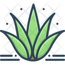 Agave Plant Alovera Icon