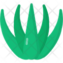 Agave Icon