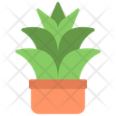 Agave Plant Icon