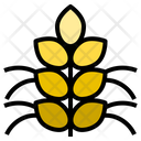 Agronomy Icon