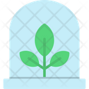 Agronomy Growth Nature Icon
