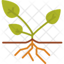 Agronomy Icon