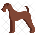 Airedale Icon