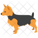 Airedale Terrier Icon