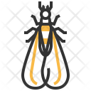 Alates Insect Bug Icon