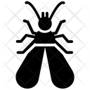 Alates Insect Termites Icon