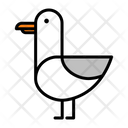 Albatross Bird Ocean Bird Icon