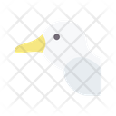 Albatross Icon