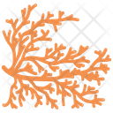 Alcyonacea Icon
