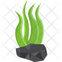 Algae Algae Bloom Cladophora Icon