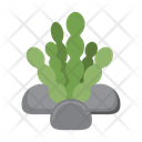 Algae Icon